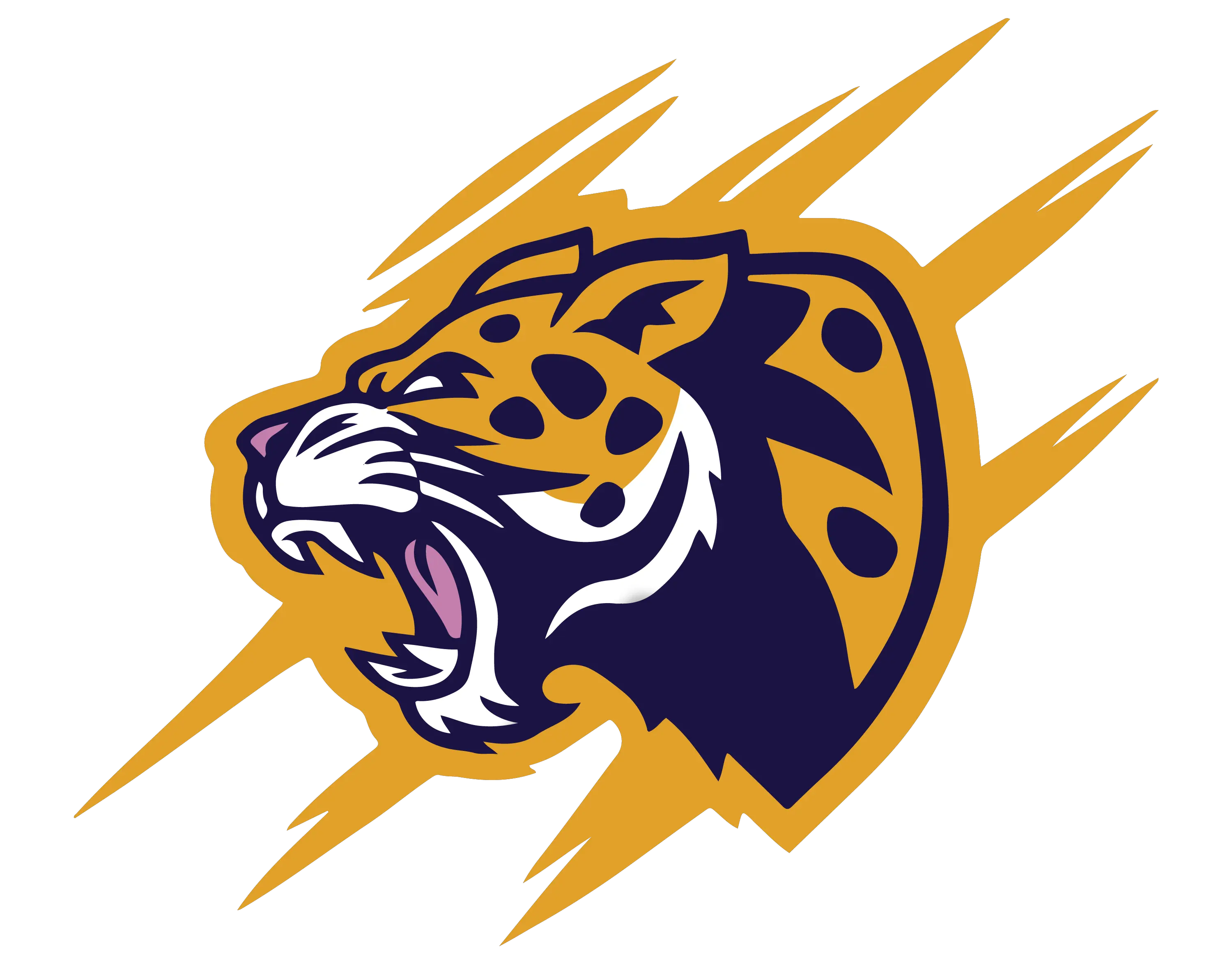 Leopard Service Group